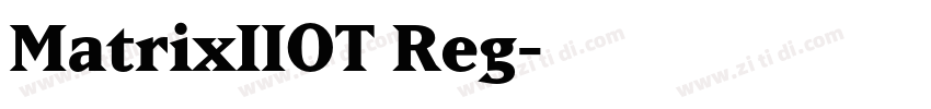 MatrixIIOT Reg字体转换